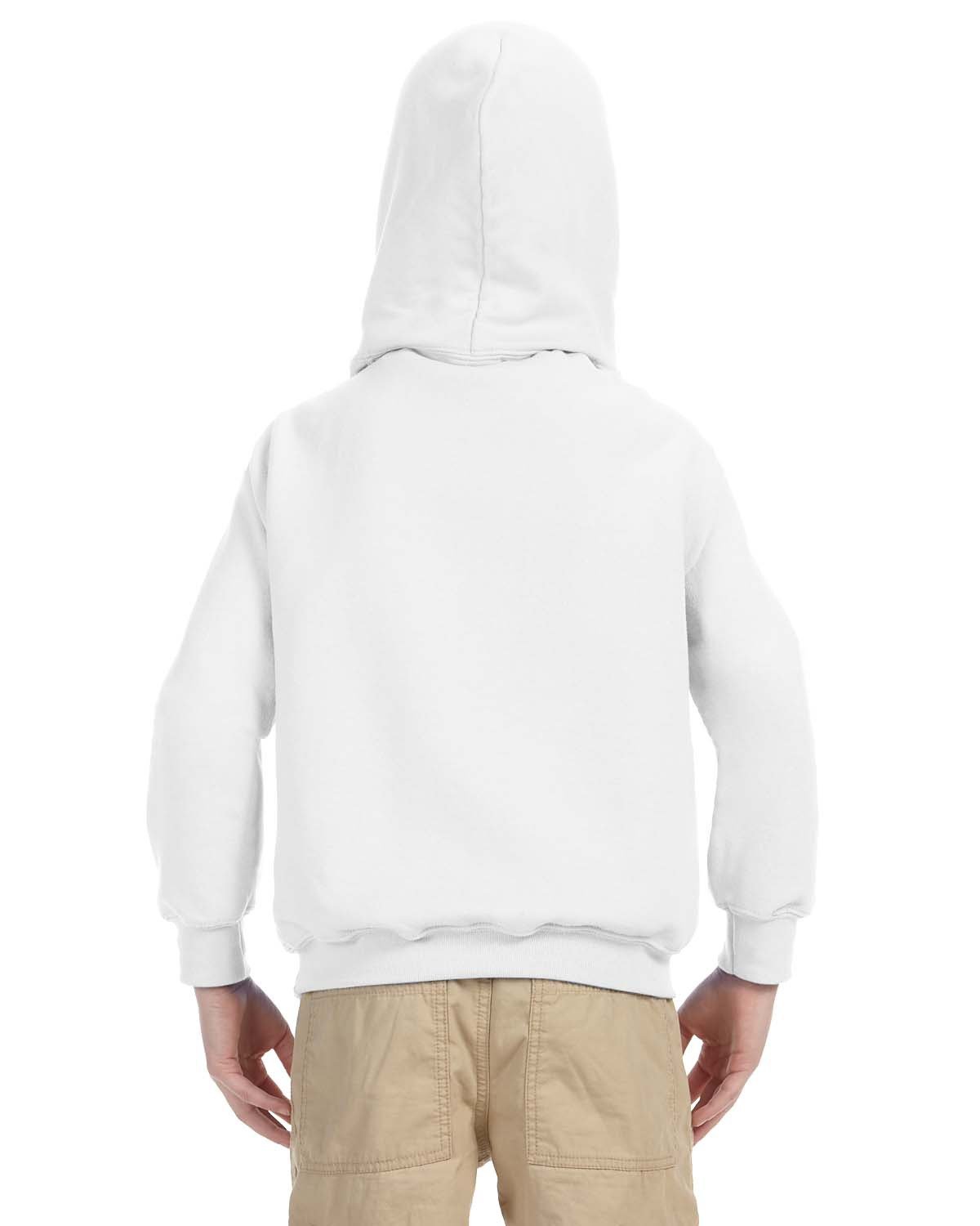 Youth Hoodies